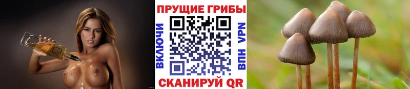 Галлюциногенные грибы Psilocybine cubensis  магазин продажи   Сосногорск 